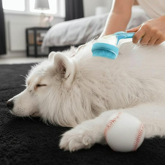 2-in-1 Pet Shower Scrubber & Shampoo Sprayer